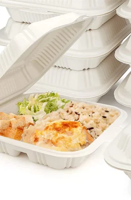 Sample 9" Plastic Eco Clamshell