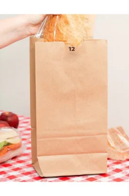 Sample DURO 12 Lb Kraft Paper Bags