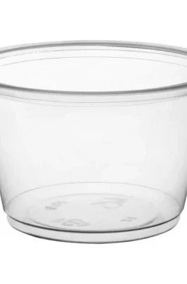 4oz Disposable Plastic Portion Cups 2500 pcs